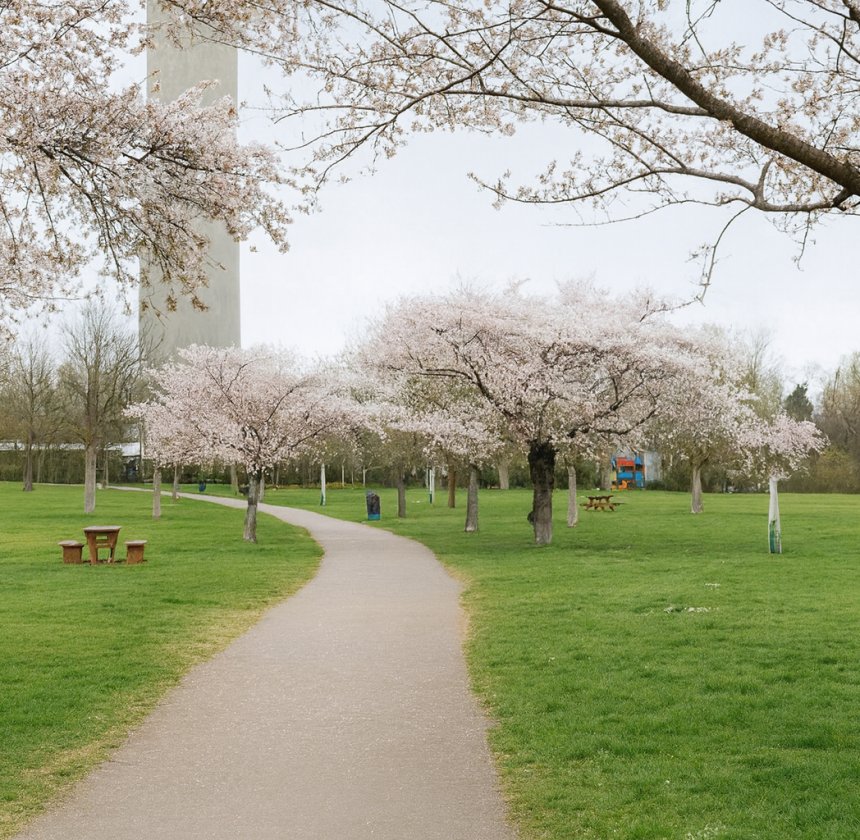 Schlüsseldienst & Aufsperrdienst 1220 Wien – Soforthilfe rund um die Uhr